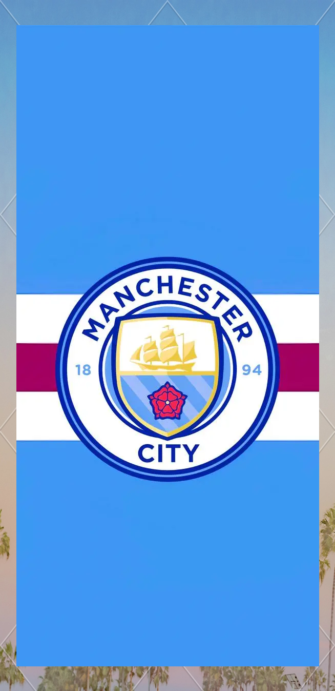 前锋关键进球锁定胜局（前锋破门奠定胜局）